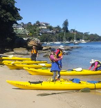 Sydney Harbour Kayaking 3